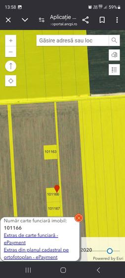 Vanzare teren Corbu - 4