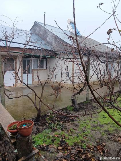 Vad Casa Fete?ti Gara - 3