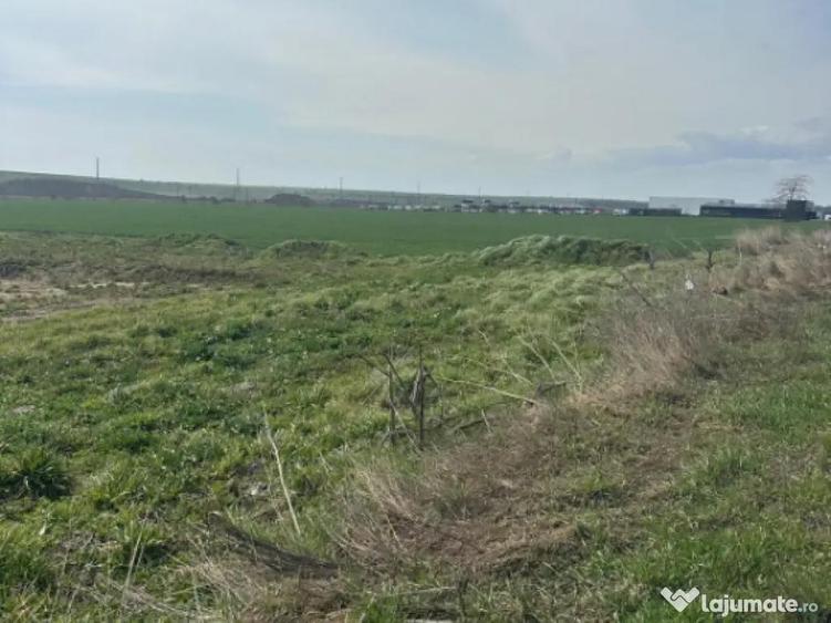 Teren extravilan 10.000 mp, DN-reprezentanta VOLVO -dezmembr - 4