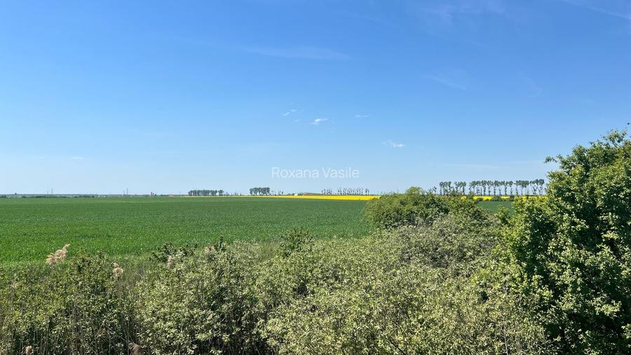 Afumati Vanzare  Teren  Suprafata  5,29 Hectare   si    Suprafata 12,8 Hectare