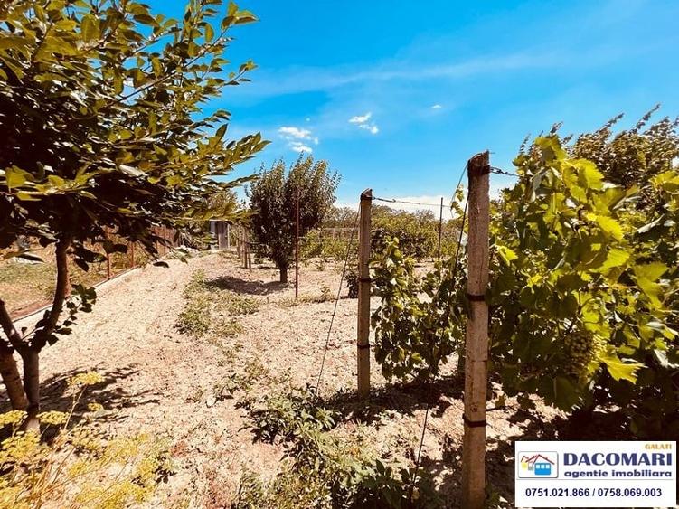 Casă de vânzare în sat I.C. Brătianu, județul Tulcea. - 12