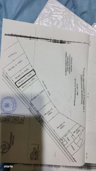 Teren Intravilan 1150mp, Timisu de Jos, Dambul Morii - 2