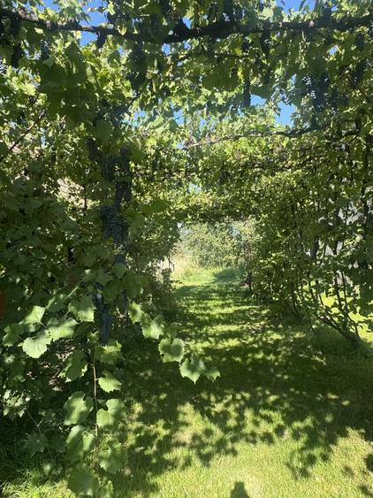 Casa De Vanzare LUNA - 6