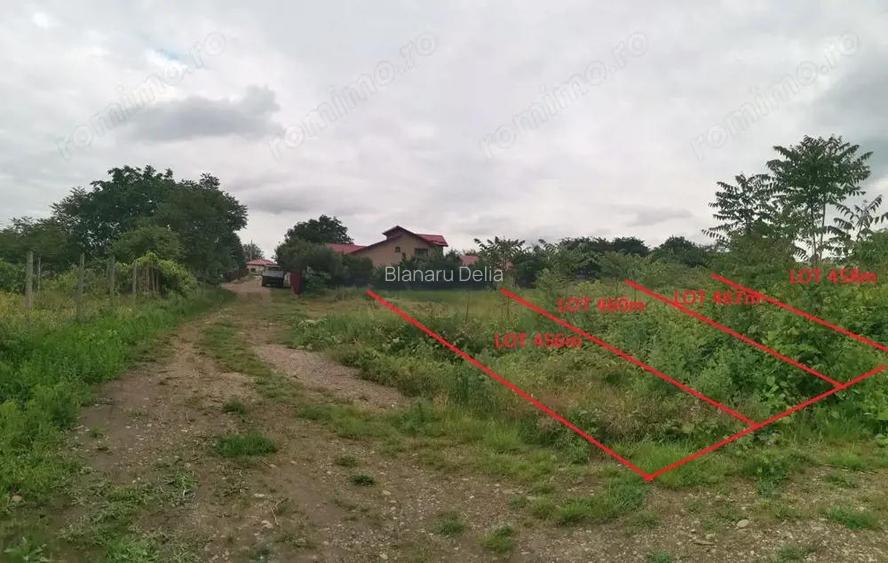 Loturi teren intravilan Str. Calugareni Odobesti Loturi teren intravilan Str. Calugareni Odobesti