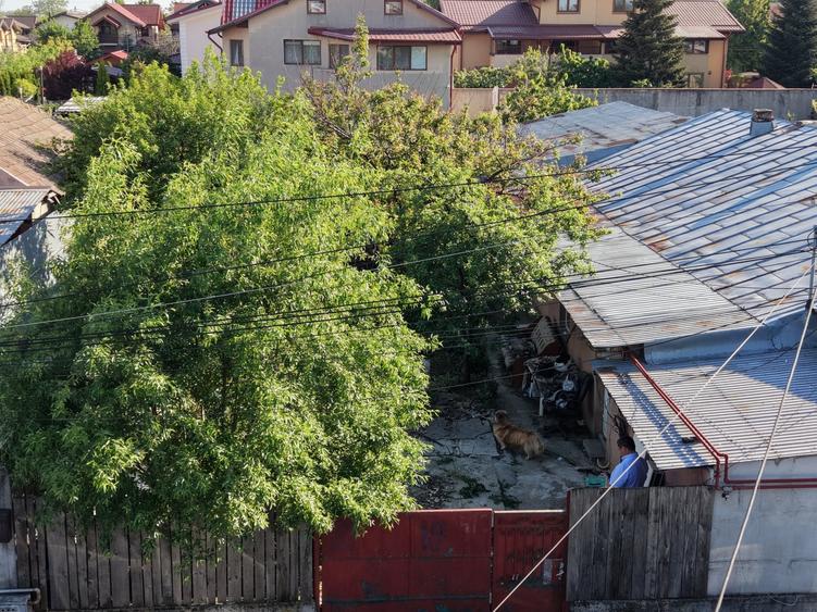 Popești Leordeni, casă demolabila/renovabila 3cam, singur curte 203mp - 17