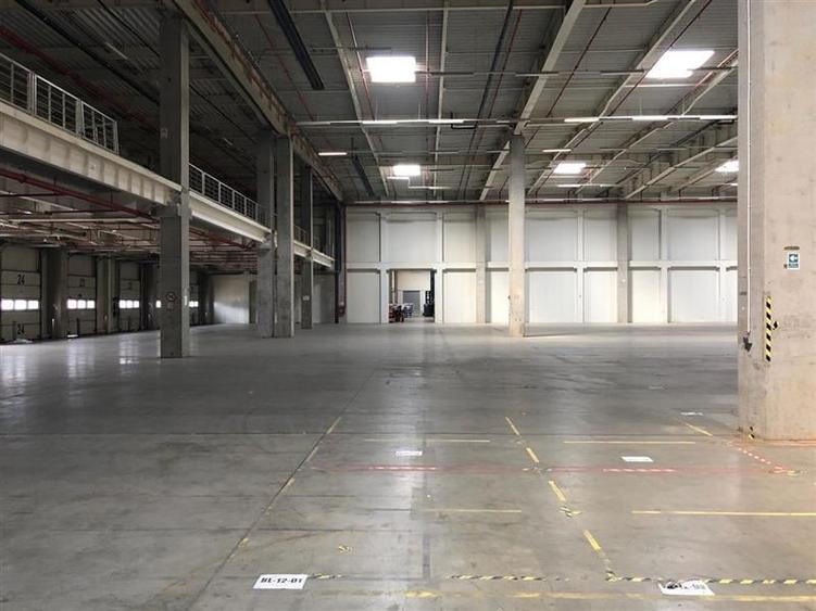 Inchiriere depozit/hala/spatiu industrial Popesti Leordeni-DN4-A0 - 6