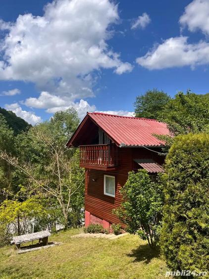 Vand cabana casa de vacanta - 4
