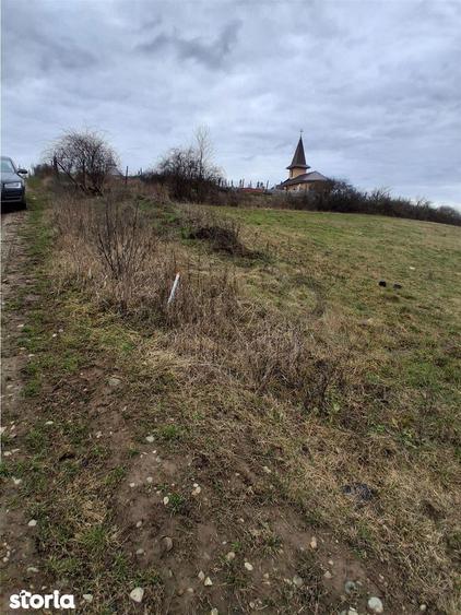 RECO Teren intravilan 5487 mp cu dublu front stradal-zona Betfia - 3