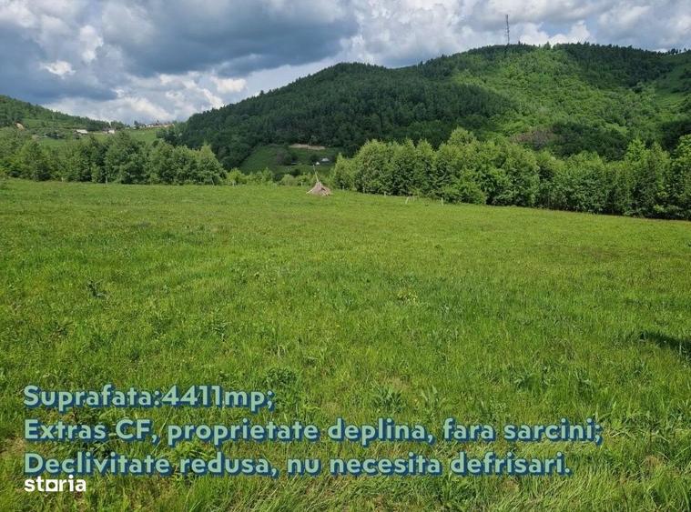Oportunitate Investitie! Teren Intravilan, 4411 mp, Valea Ierii - 2