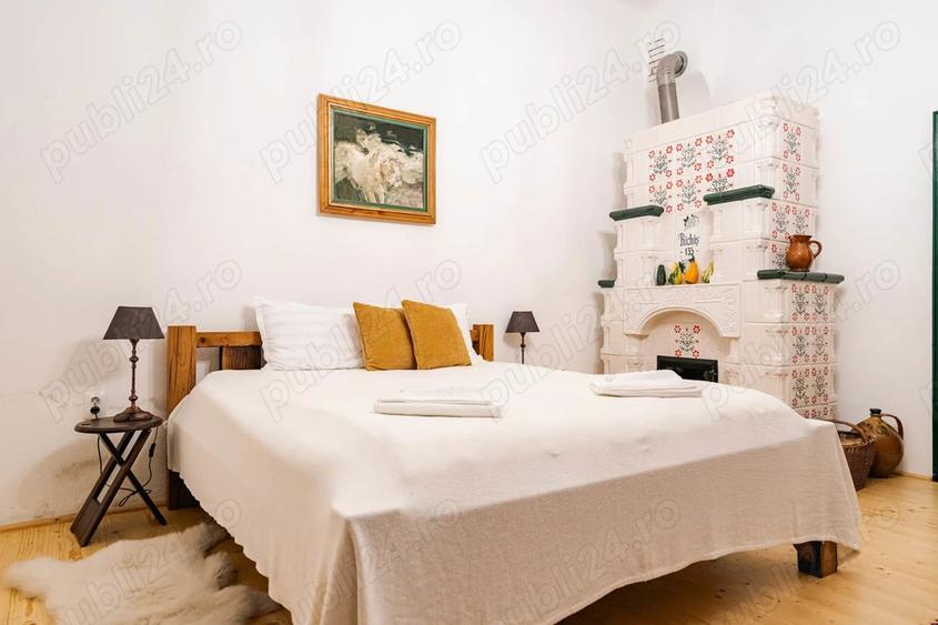 Casa saseasca autentica de inchiriat Richis - 3