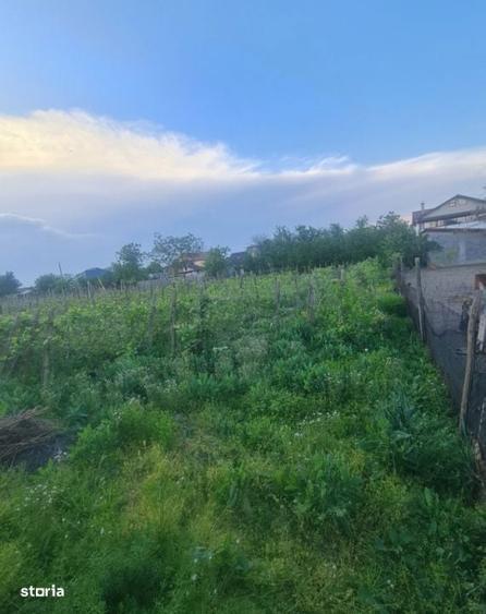Teren intravilan 714mp, Carcea intre case , toate utilitatile !!! - 4