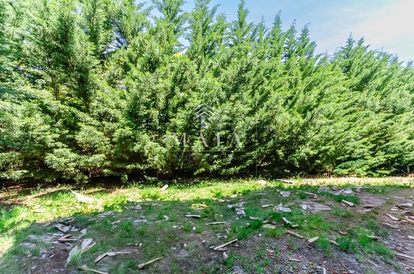 Apartament 2 camere NOU, curte 50mp, parcare, TVA inclus, DaVinci - 1