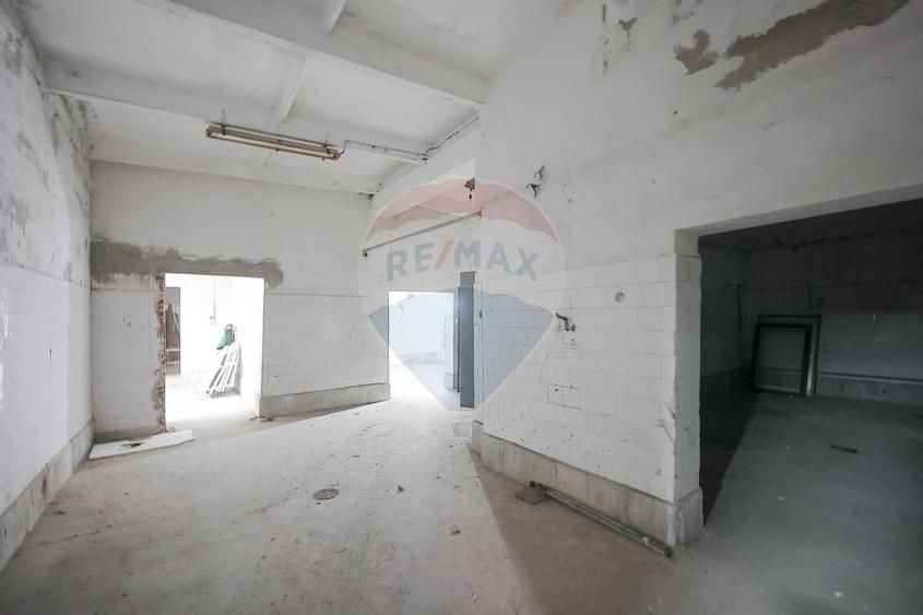 Teren 5674mp si constructii de vanzare, Tilecus - 6