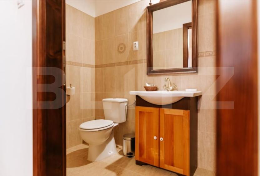 Conac de vanzare 7 camere cu bai proprii, crama, ciubar si potential - 17