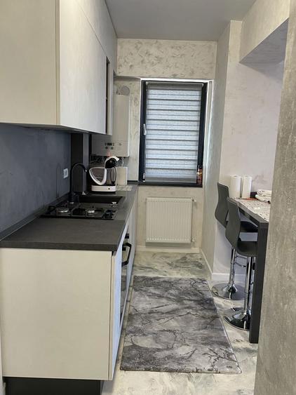 Apartament de inchiriat terment lung - 4