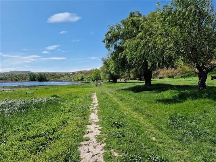 Teren cu deschidere la lac de vanzare in localitatea Somova Tulcea - 6