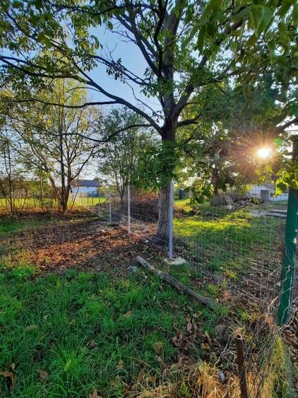 Teren Intravilan, central, perfect plat, 1212 m2, 38 euro m2 - 3