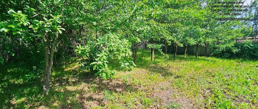 Proprietate com.Bodesti, casa + anexe + teren 7481 mp - 3