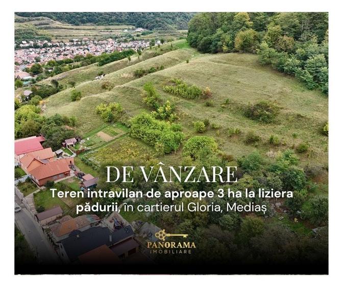 Teren intravilan de aproape 3 ha la liziera pădurii | cartierul Gloria - 1