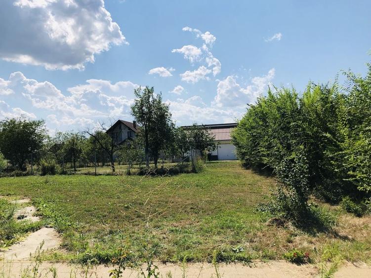 Vand teren de casa in Ardud - 13