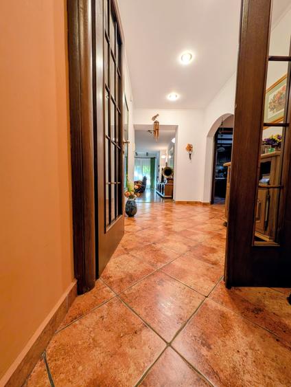 Jiului-Coralilor-Damaroaia,eleganta,robusta,garaj,curte intima,vegetatie matura - 10