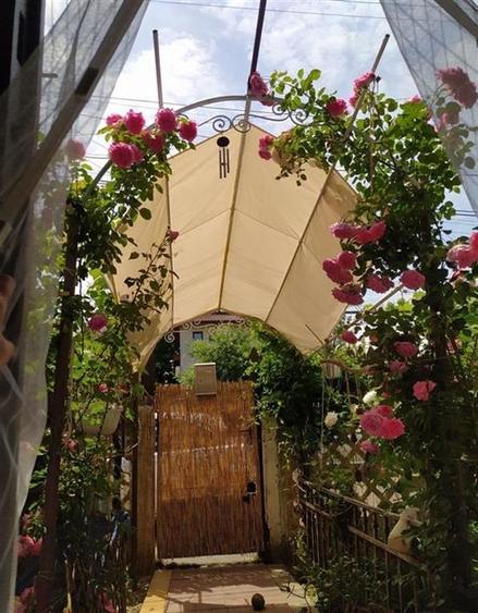 Oferta vanzare casa 3 camere zona Mihai Bravu//teren 250mp// deschidere 10ml - 4