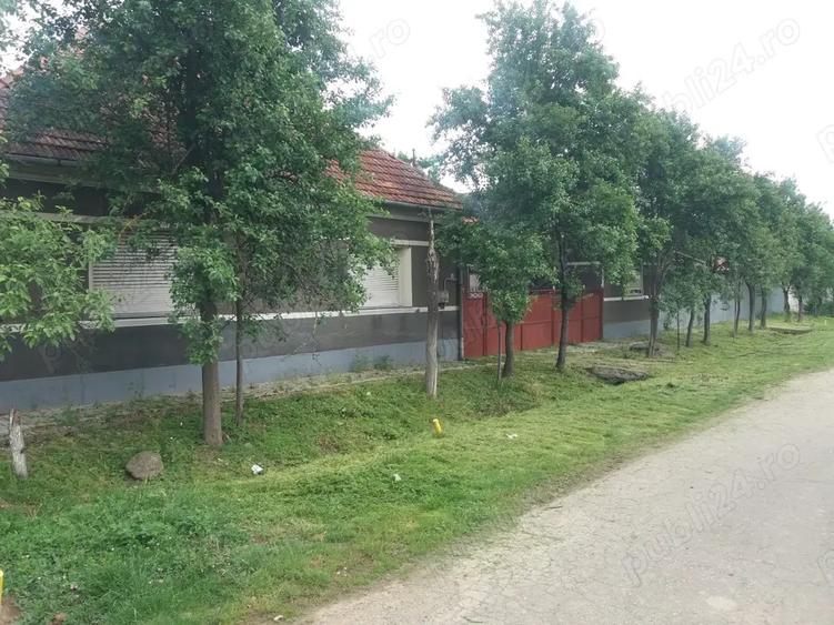 Casa ?i anexe, Cermei central, 2 curti, Front stradal 50 ML, 2880 mp - 9