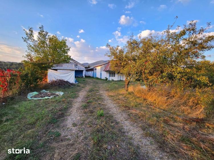 Teren intravilan 8.280 mp, utilitati si constructii Bistrita, Neam - 3