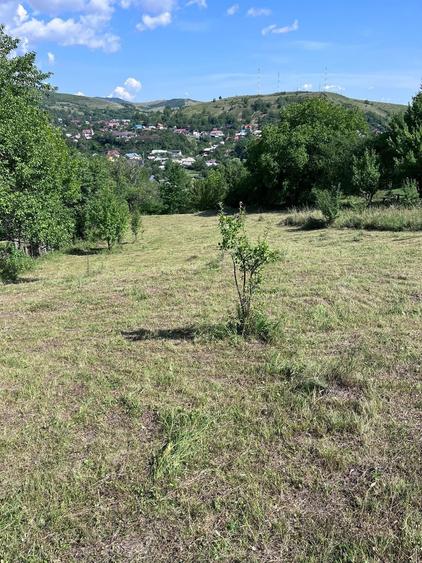 Teren de 3026 mp, în Gârcina
