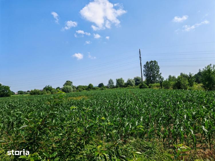 Teren intravilan 7.000 MP in Boroaia proprietar, lini?te ?i parau - 7