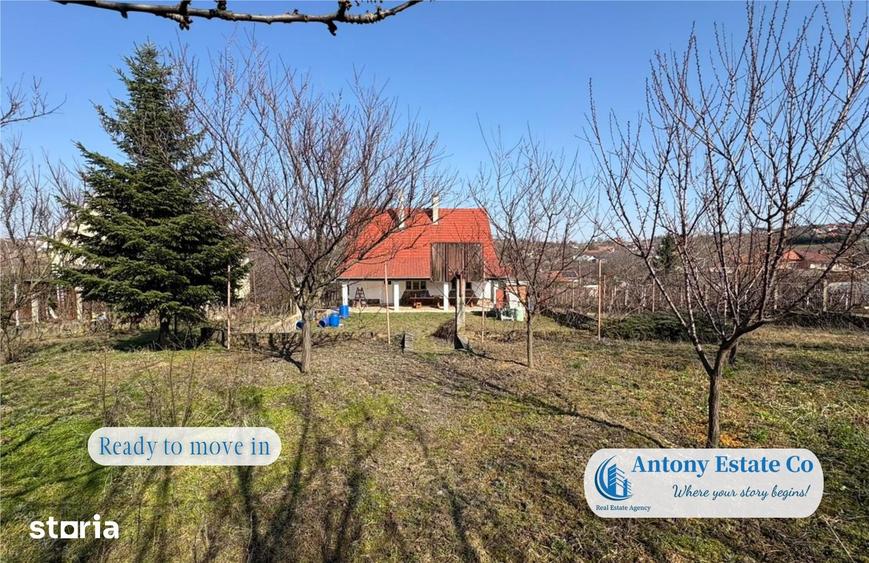 Antony Estate | Casa cu Livada proprietate deosebita, 300 pomi fruct - 4