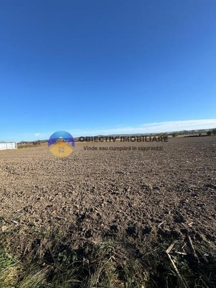 Casă individuală cu 5 camere cu Teren 3600 Mp în Bodești
