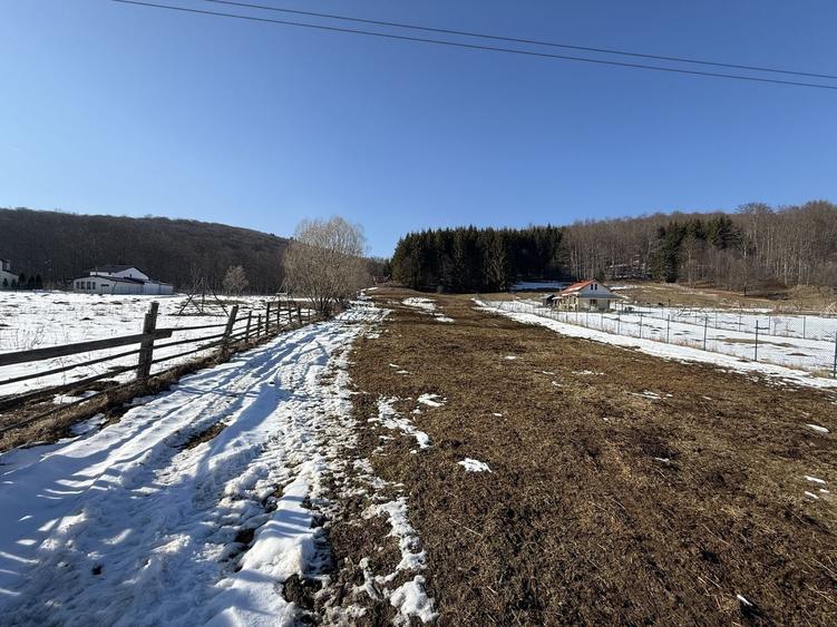 Teren Construcții intravilan de 4521 mp, în Valea Doftanei