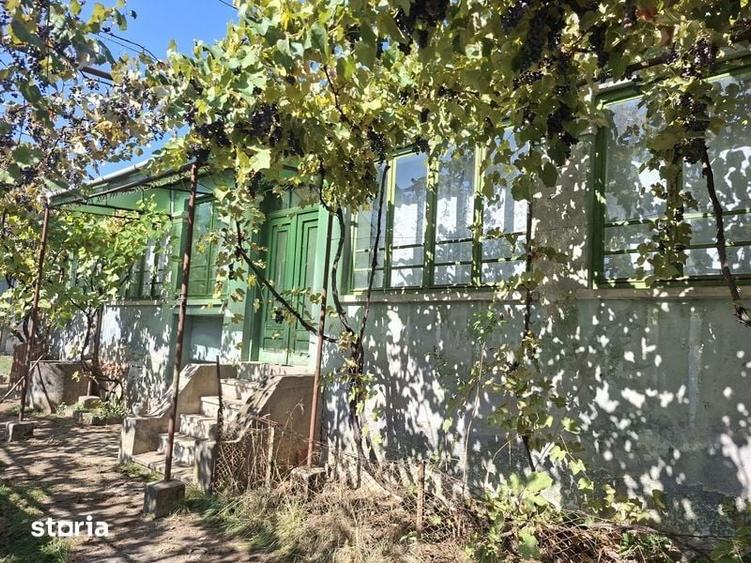 Casă cu 3 camere cu Teren 364 Mp în Central