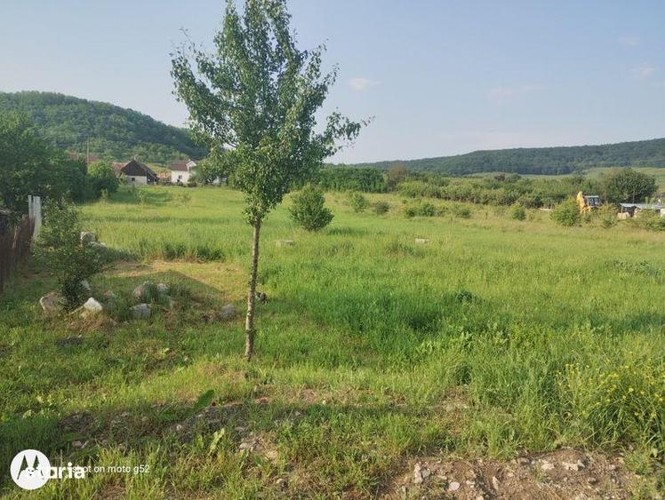 Teren de 4200 mp, în Aghireșu