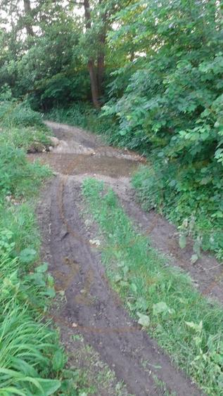 Teren agricol extravilan de 12421 mp, în Big-Bascov