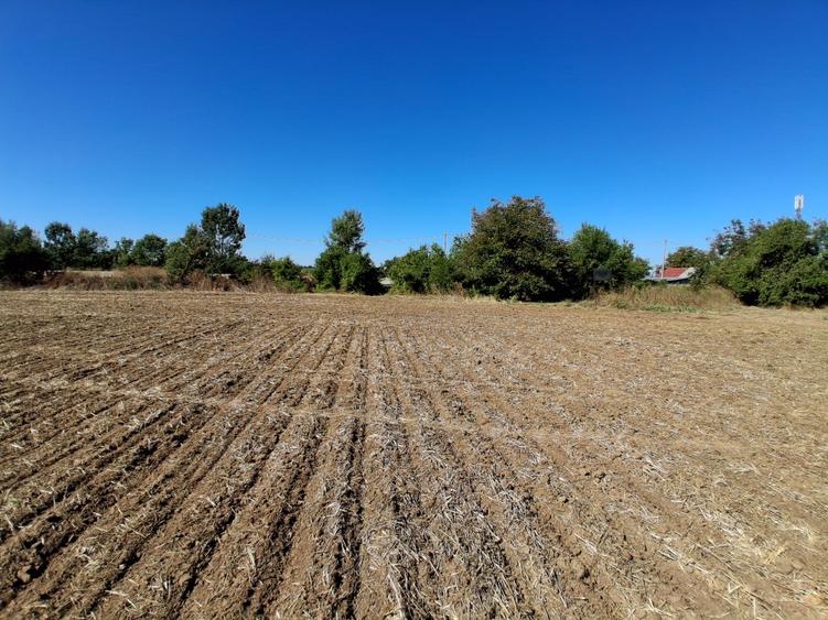 Teren Construcții intravilan de 4998 mp, în Gorgota