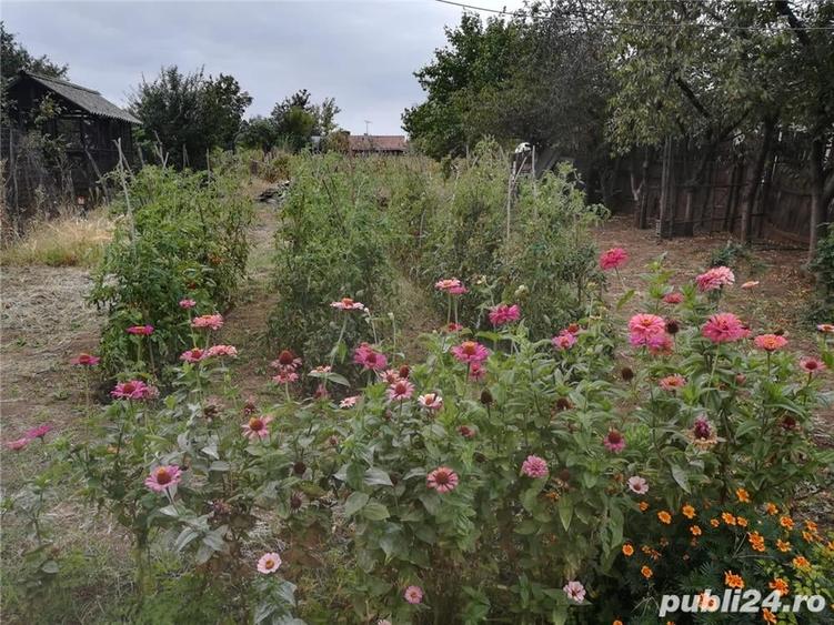 Casă cu 5 camere cu Teren 2800 Mp în Corabia
