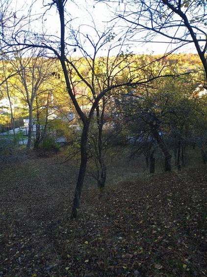 Teren de 3788 mp, în Costești