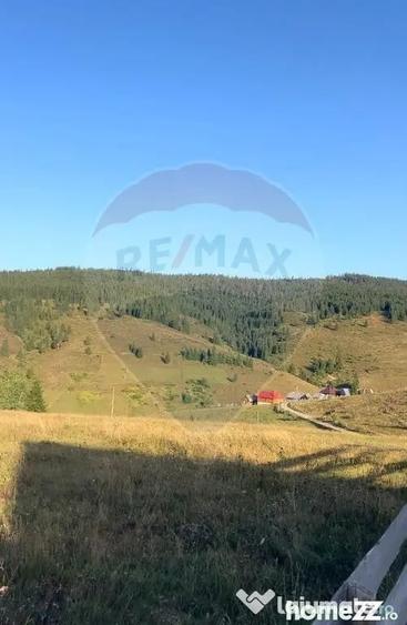 Teren de 4914 mp, în Giurcuța de Sus
