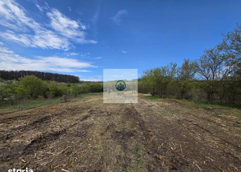 Teren agricol extravilan de 6704 mp, în Hărău