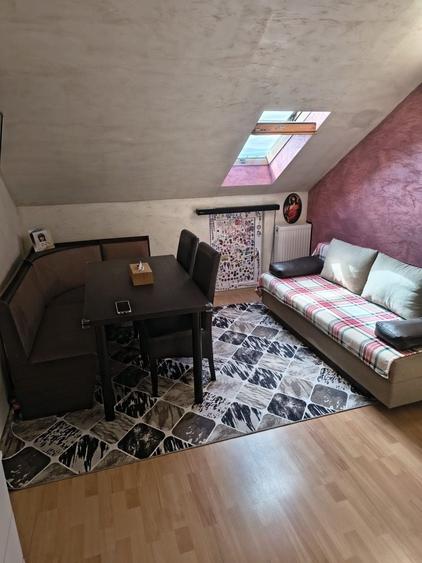 Apartament cu 2 camere decomandat în Paltin