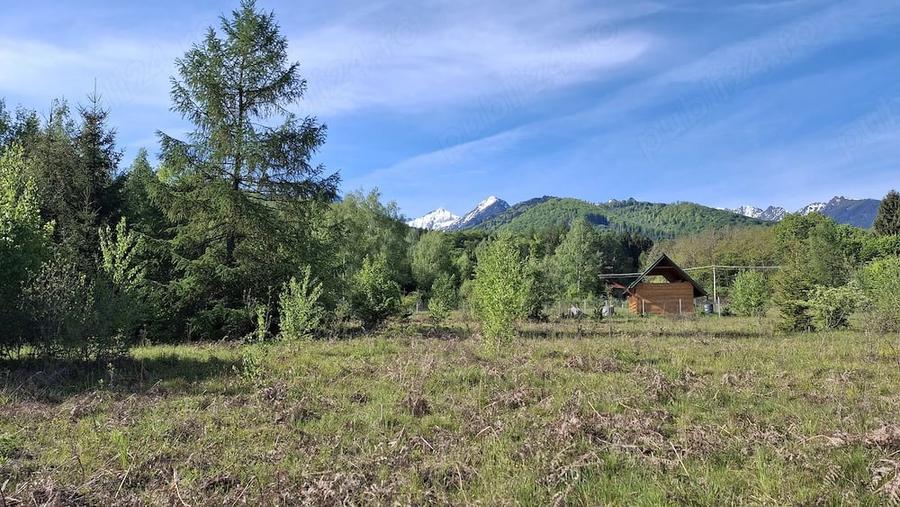 Teren de 3200 mp, în Viștișoara