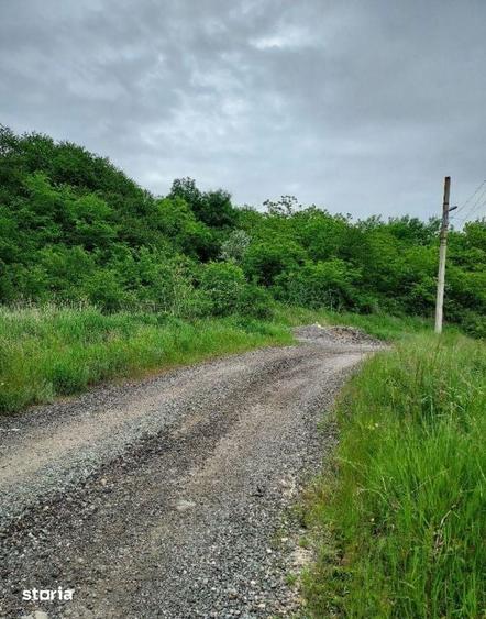 Teren de 1000 mp, în Jucu
