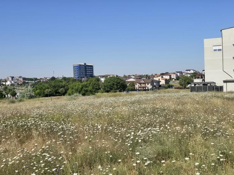 Teren Construcții intravilan de 5000 mp, în Techirghiol