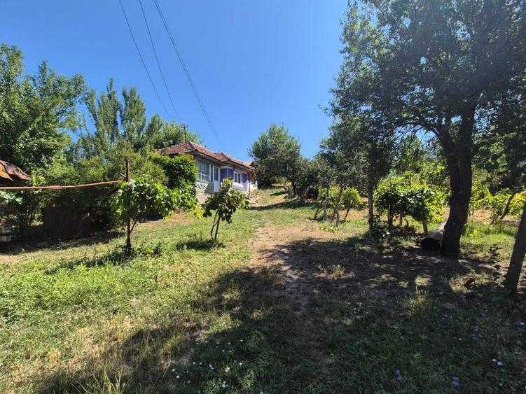 Vand casa la tara / Gorj - 10