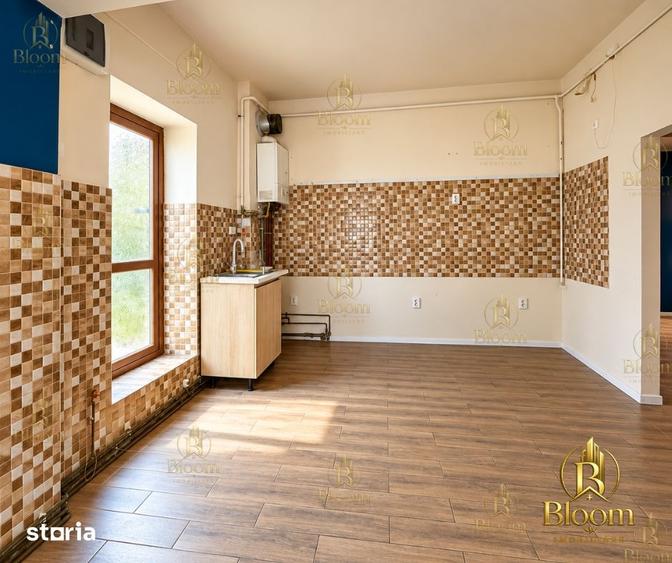 Proprietate cu poten?ial comercial reziden?ial 430 mp teren - 1