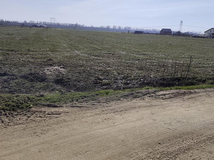 Teren Construcții extravilan de 23200 mp, în Săbăreni