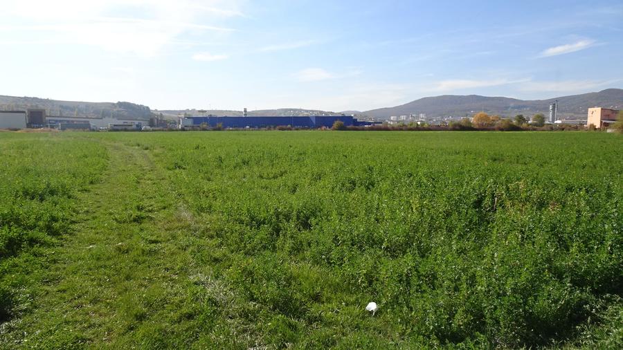Teren Construcții intravilan de 43000 mp, în Calea Aradului