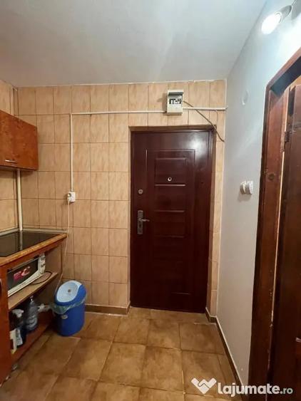 Garsonieră nedecomandată în Lotrului